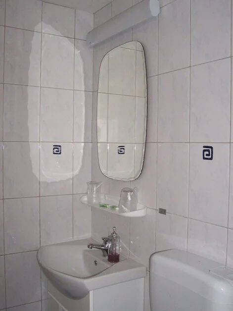 Vila Leon Satu Mare Foto Baie