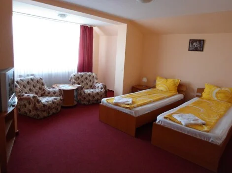 Cazare Satu Mare Vila Leon Camera