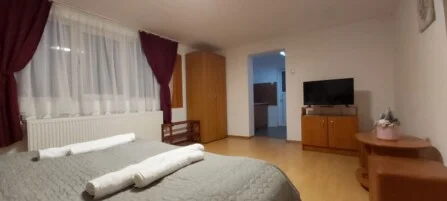 Cazare Satu Mare Vila Leon et 3 