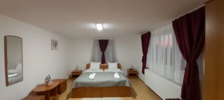 Vila Leon Satu Mare 303